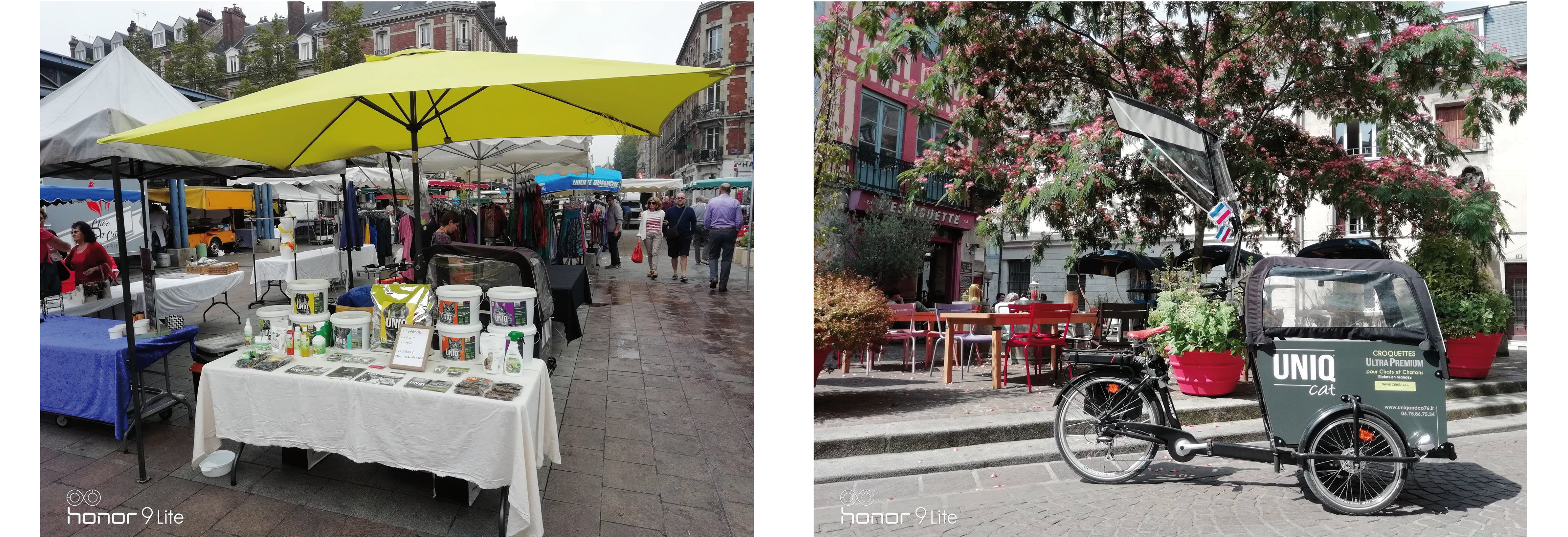 david-croquette-rouen