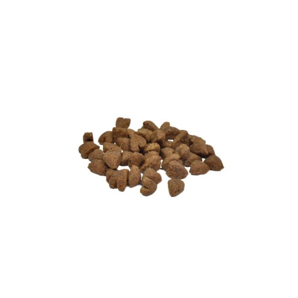 Weego - Croquettes sans céréales pour chat stérilisé au saumon frais et thé vert – Image 4
