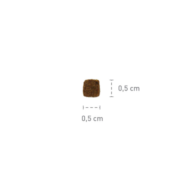 Croquettes sans céréales pour chat stérilisé à la dinde et à la menthe – Image 5