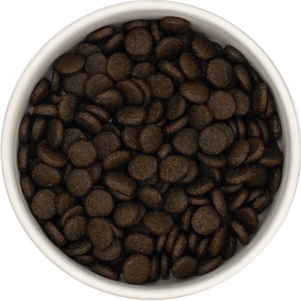 UNIQ Dog - Croquettes sans céréales pour chien adulte au saumon et à la truite – Image 4
