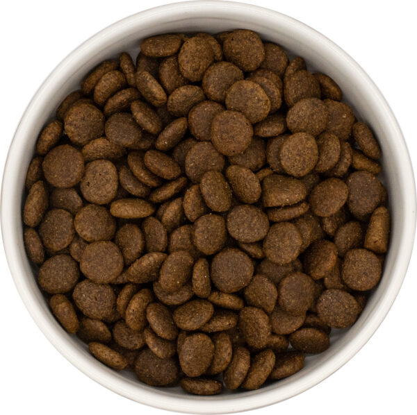 UNIQ Dog - Croquettes sans céréales pour chien adulte au canard – Image 4