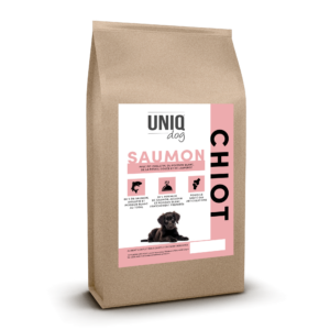 UNDGPU06