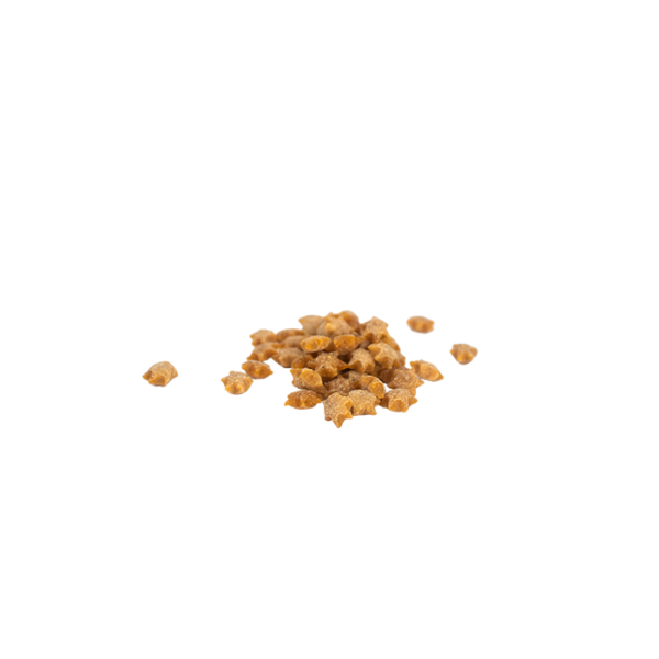 Weego - Friandises pour chien à la pomme – Image 3