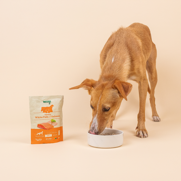Weego - Pack de pâtée sans céréales pour chien au poisson blanc et au saumon – Image 3