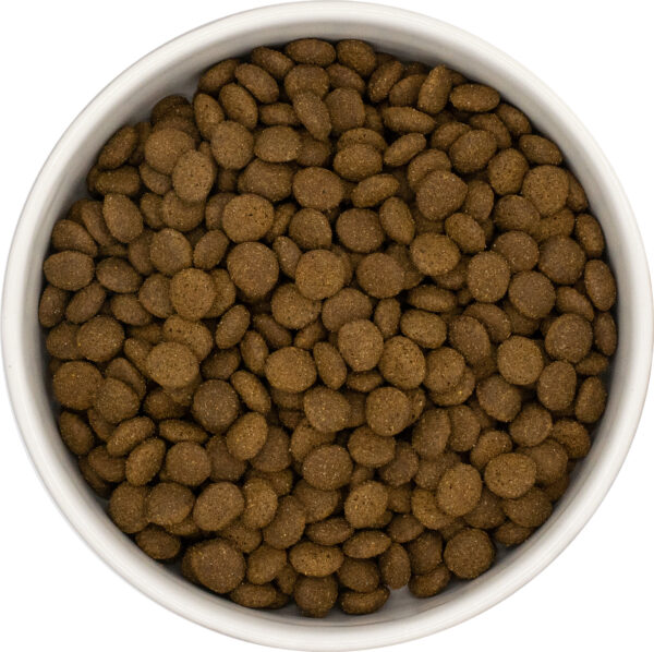 UNIQ Cat - Croquette hypoallergéniques au saumon et au poisson blanc – Image 2