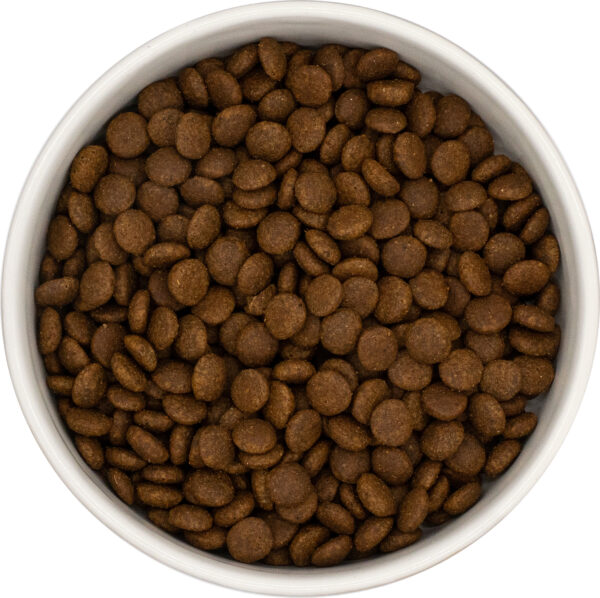 UNIQ Cat - Croquette hypoallergéniques à la dinde et au poulet – Image 2