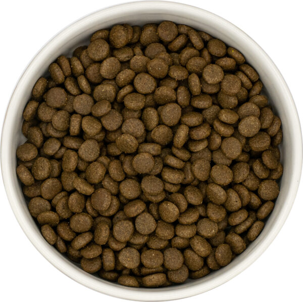 UNIQ Cat - Croquette hypoallergéniques au poisson blanc et caviar de hareng – Image 2