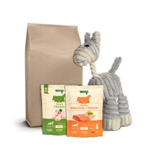 Pack découverte pour chien